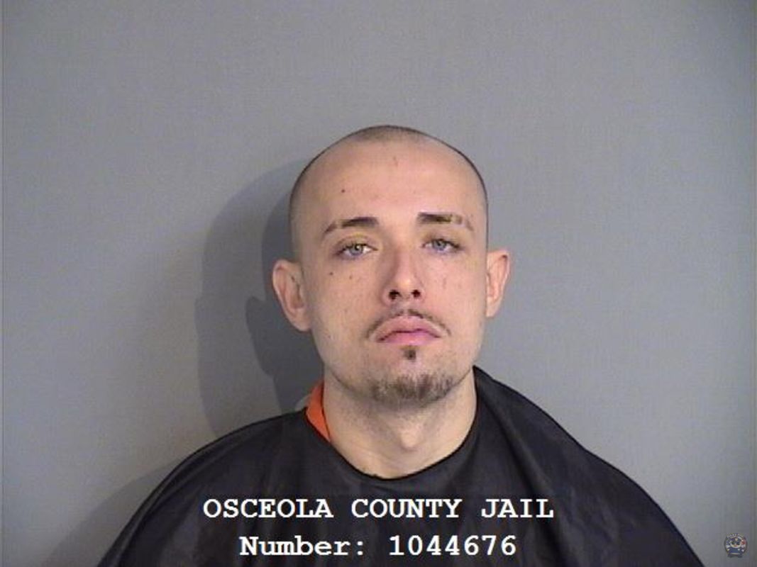 Booking photo of ROBERTO MAX ALVAREZ-FAURE