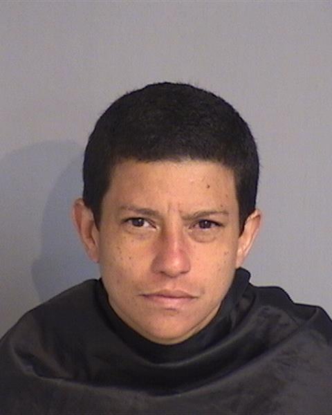 Booking photo - YARITZA CARRERO - Osceola, Florida