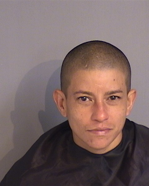 Booking photo - YARITZA CARRERO - Osceola, Florida
