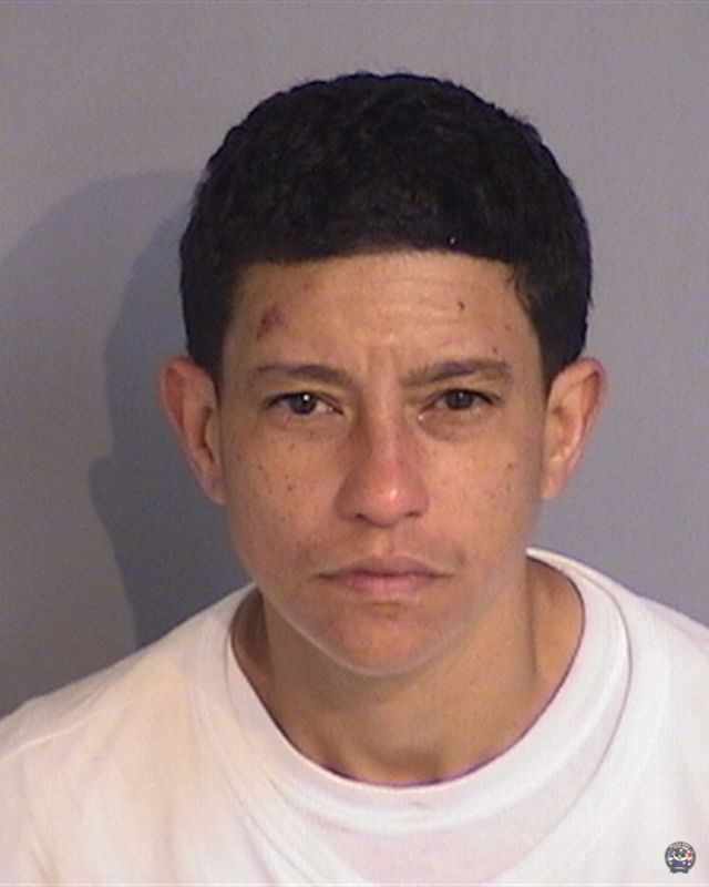 Booking photo of YARITZA CARRERO