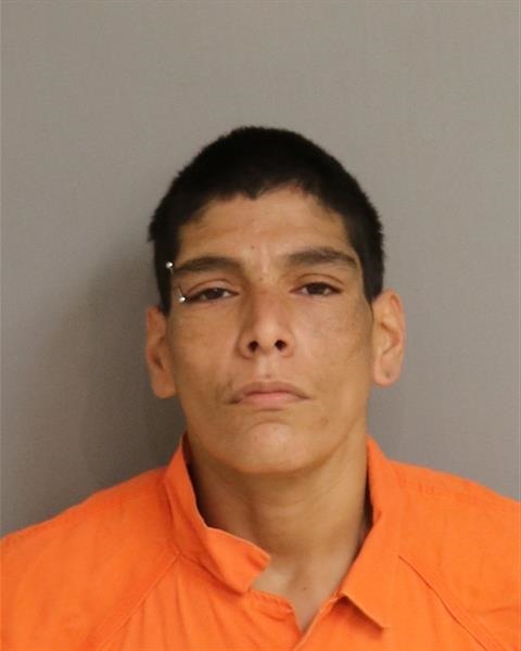 Booking photo - KEVIN CHRISTOPHER TORRES - Osceola, Florida