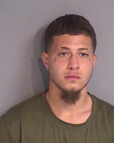 Booking photo - RAFAEL JOSE VIVES - Osceola, Florida