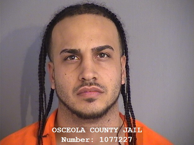 Booking photo - ANTHONY STAVALO - Osceola, Florida