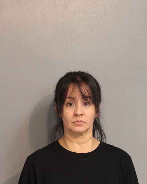 Booking photo - ANNETTE HERRERA - Osceola, Florida