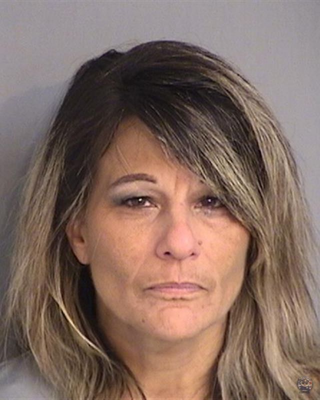 Booking photo - LISA MARIE NAPOLIELLO - Osceola, Florida