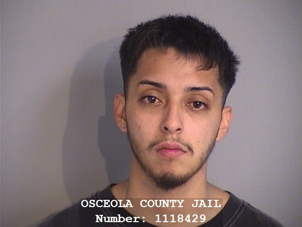 Booking photo - PEDRO BAHENA-GARCIA - Osceola, Florida