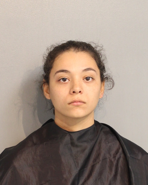 Booking photo of TATIANA FLORES