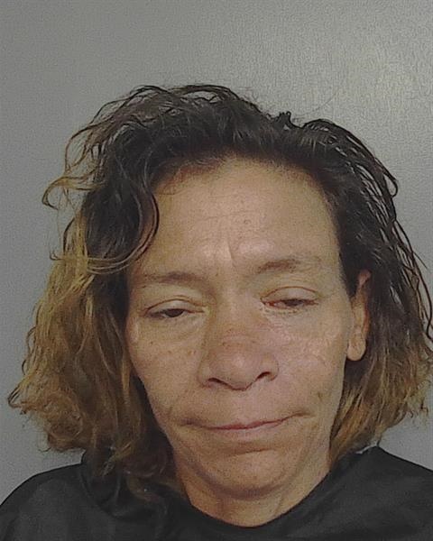 Booking photo - TANGALEAKA SHERELLE MCLOYD - Osceola, Florida