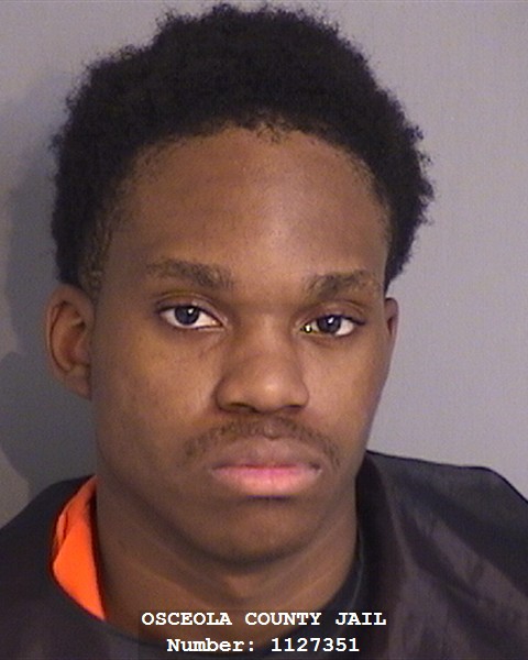 Booking photo - DONI SMITH - Osceola, Florida