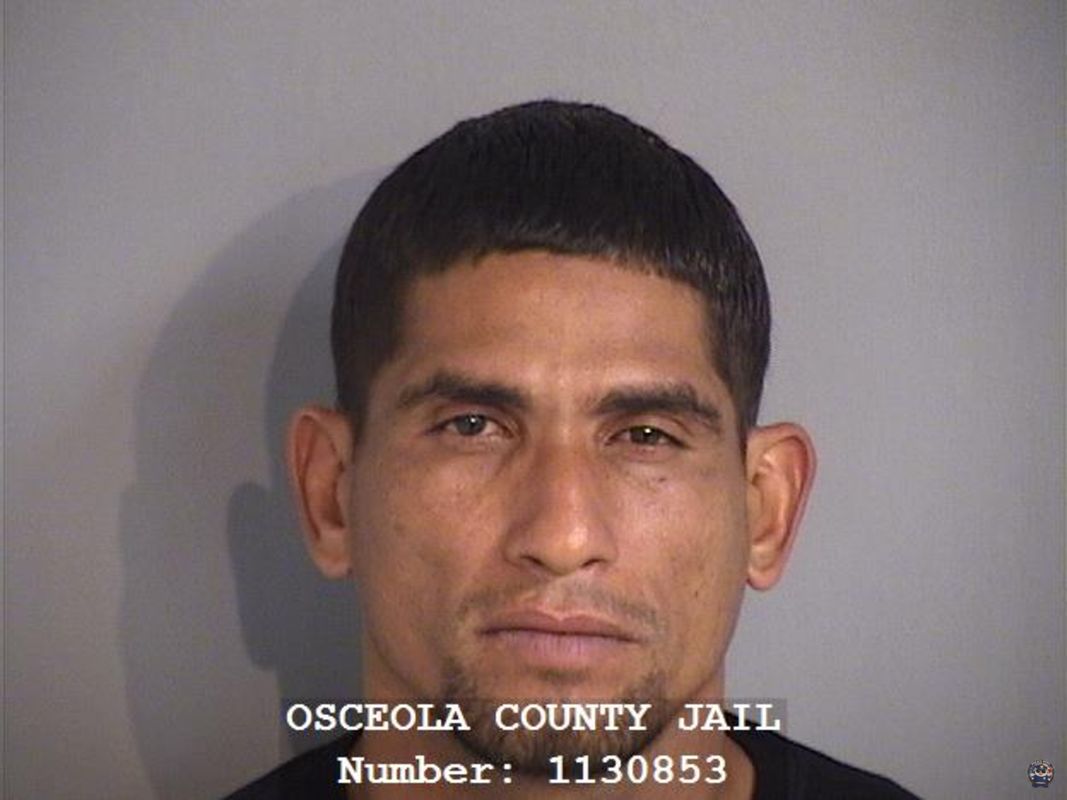 Booking photo - RAMON LUIS CLAUDIO-AYALA - Osceola, Florida