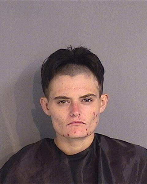 Booking photo - HANNAH MARIE DYER - Osceola, Florida