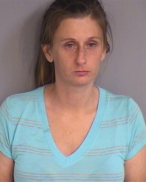 Booking photo - DIANA MARIE KRUG - Osceola, Florida
