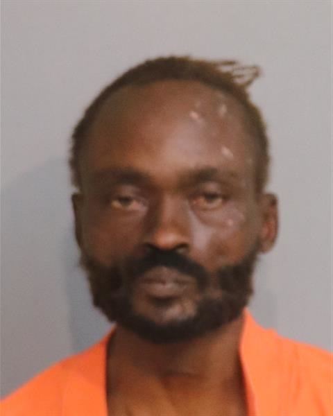 Booking photo - LEE ROY WILLIAMS - Osceola, Florida