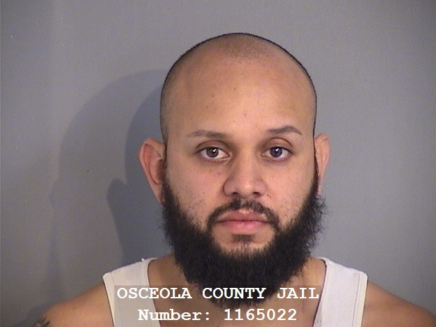 Booking photo - ANGEL LEON - Osceola, Florida