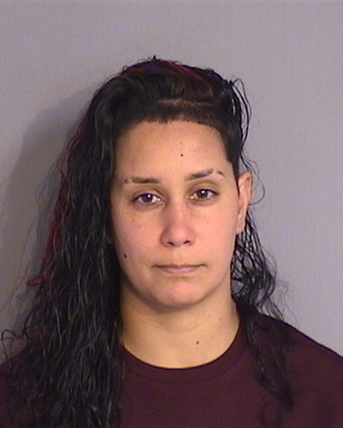 Booking photo of YANELISSE CASTRO