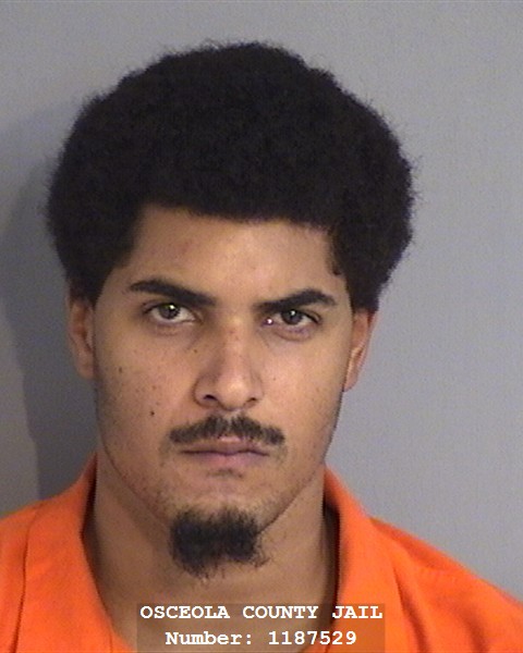 Booking photo - TIMOTHY JAMES MEYER - Osceola, Florida