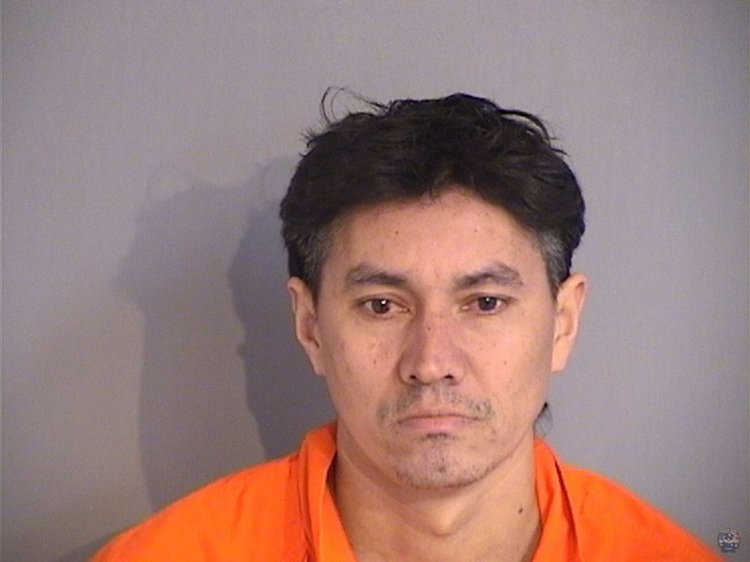 Booking photo of FREDIS MEDINA-LIZAMA