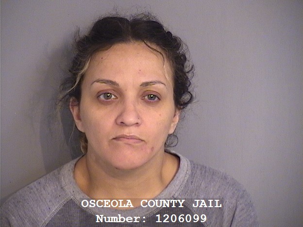 Booking photo - NAKITA MAISONET - Osceola, Florida