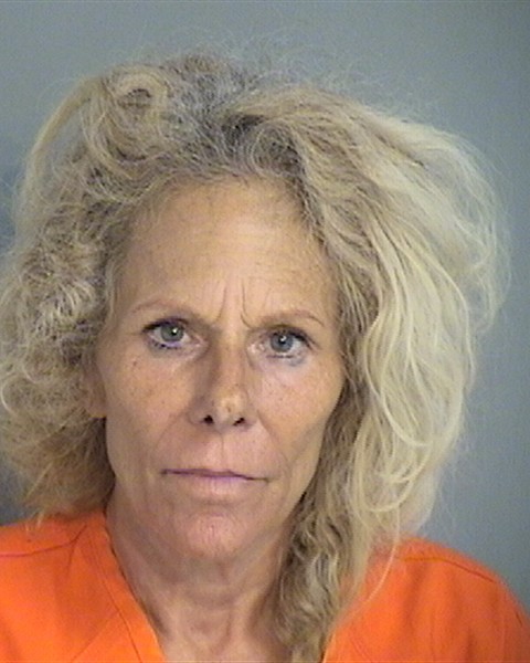 Booking photo - KRISTINE LEE WALLENGREN - Osceola, Florida