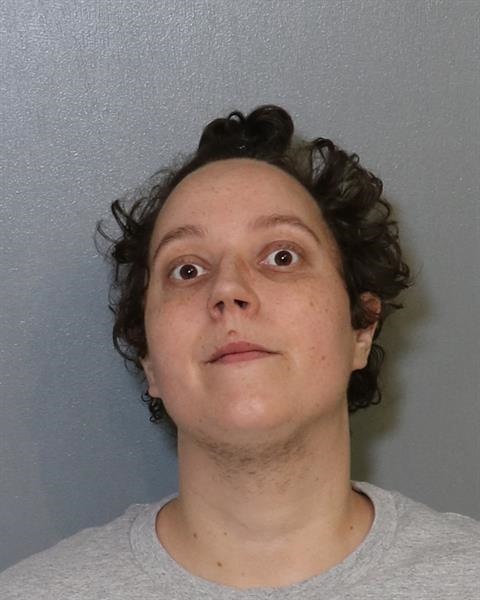 Booking photo - SAMANTHA HAYES - Osceola, Florida