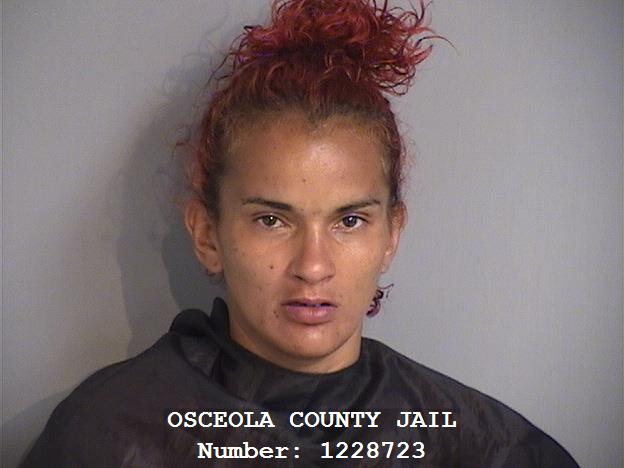 Booking photo - MARIE GESSELLIE CARABALLO-RUIZ - Osceola, Florida