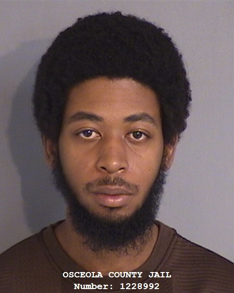 Booking photo - DAVID FRANCIS - Osceola, Florida