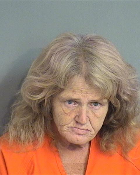 Booking photo - BONNIE LORENE WILSON - Osceola, Florida