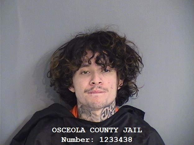 Booking photo - SANTIAGO GIRALDO - Osceola, Florida