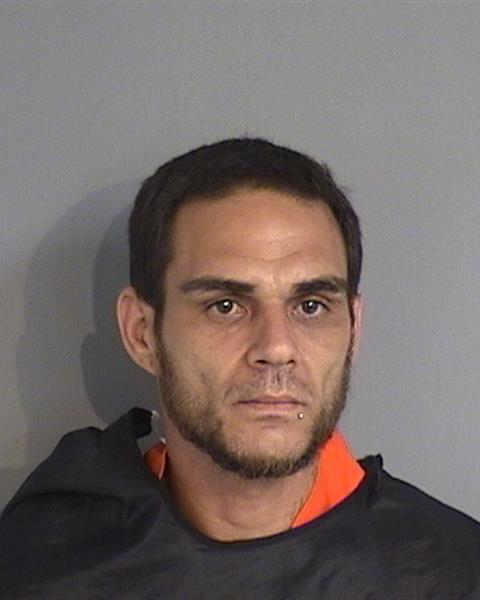 Booking photo - ALFREDO TORRES - Osceola, Florida