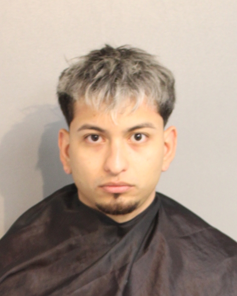 Booking photo of LUIS ALARCON-LEAL