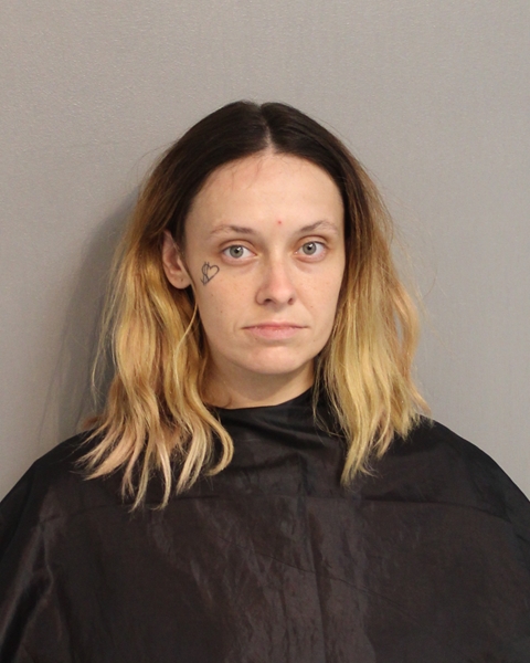 Booking photo - JULIEANN BRYANT - Osceola, Florida