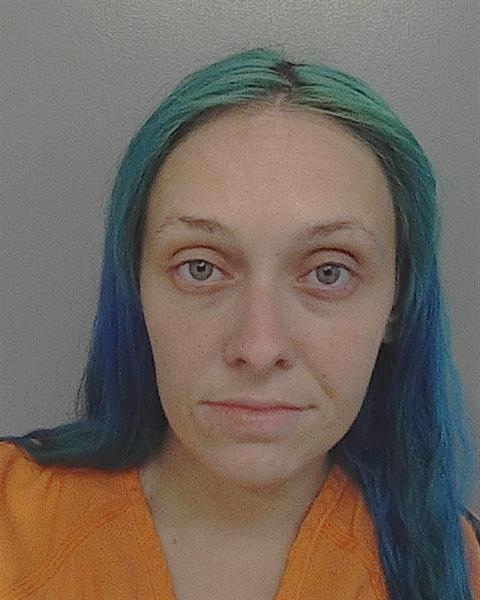 Booking photo - JULIEANN BRYANT - Osceola, Florida