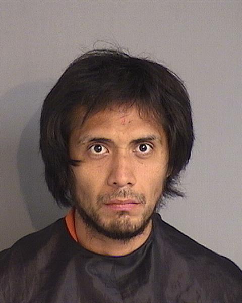 Booking photo - LUIS JOSE FONSECA - Osceola, Florida
