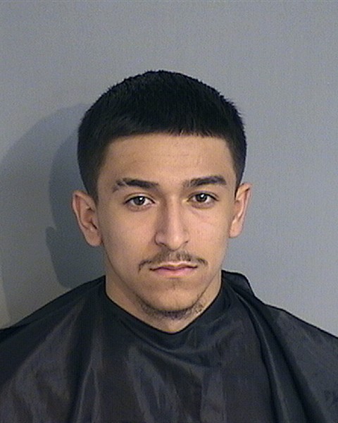 Booking photo - ANGEL ROMAN - Osceola, Florida