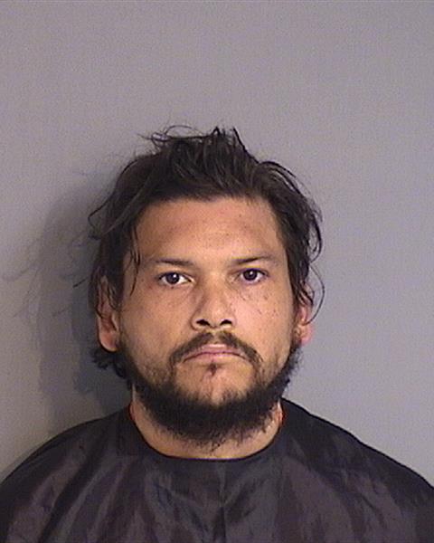 Booking photo - ROBERTO E MICHAELS - Osceola, Florida