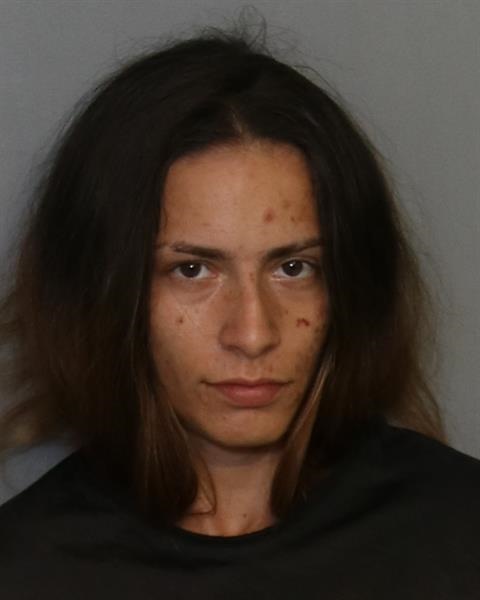 Booking photo - SAMANTHA ALICIA GONZALEZ - Osceola, Florida