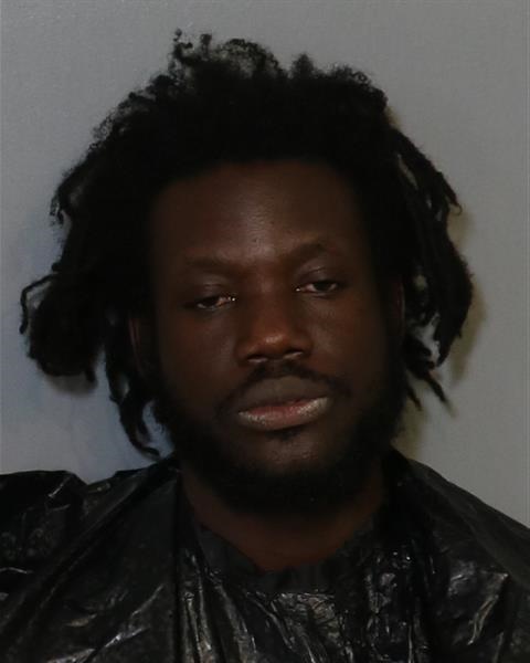 Booking photo - WATSON TIMOTHEE - Osceola, Florida