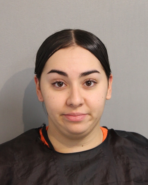 Booking photo of BRIANNA ALVELO