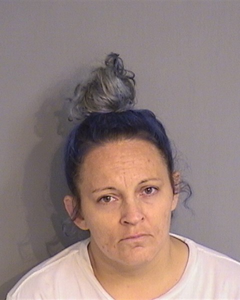 Booking photo - FELISHA NATOW - Osceola, Florida