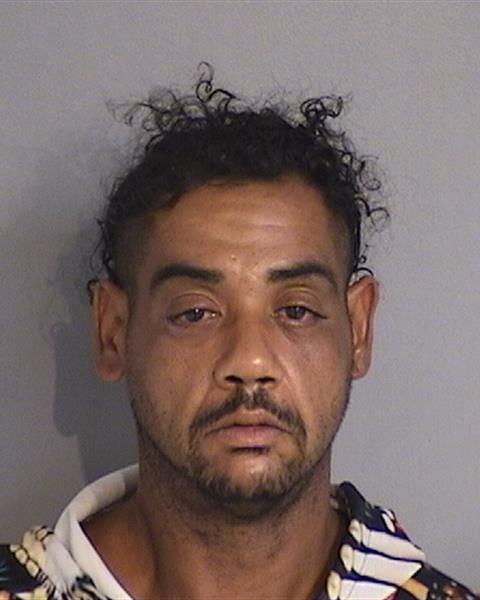 Booking photo - RALDY BATISTA - Osceola, Florida