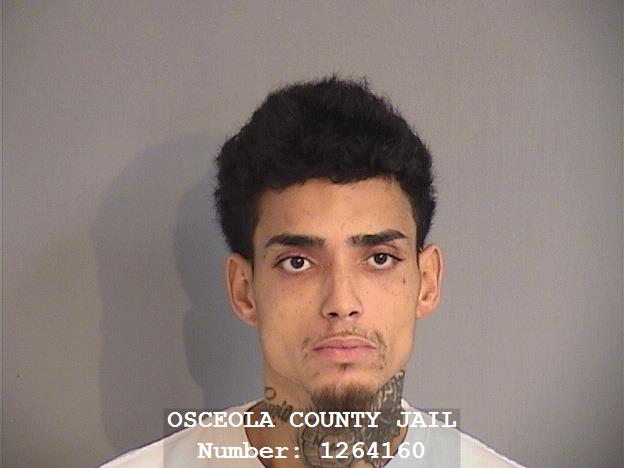 Booking photo - HERIBERTO FELIX - Osceola, Florida