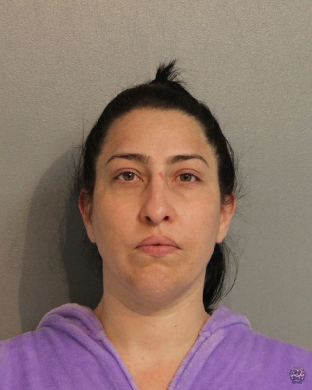 Booking photo of LINNETTE ORTIZ-TORRES