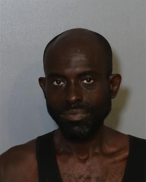 Booking photo - FELIX DUMAS - Osceola, Florida