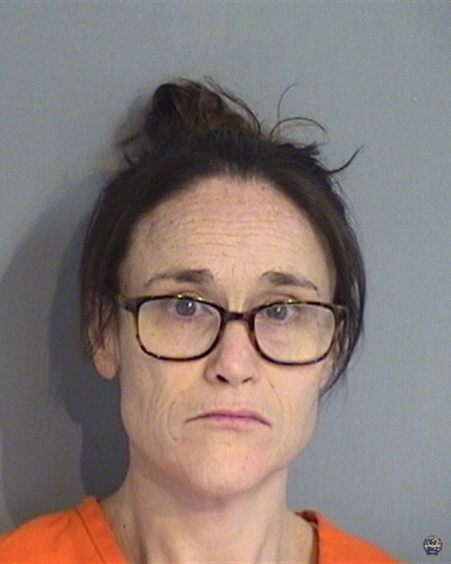Booking photo of FAWN LEEANN MOREL