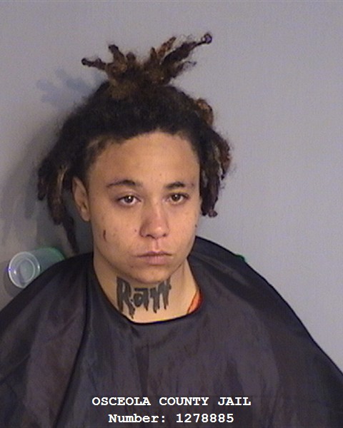Booking photo - MILLENIA SIMMONDS - Osceola, Florida