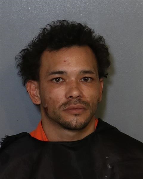 Booking photo - LOUIS MARK MICHAELS - Osceola, Florida