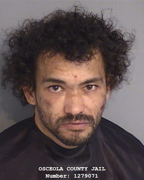 Booking photo - LOUIS MICHAELS - Osceola, Florida