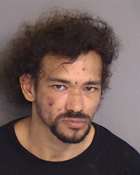 Booking photo - LOUIS MICHAELS - Osceola, Florida