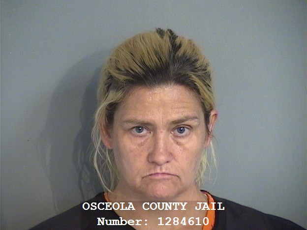 Booking photo - ARLISE PORRAS - Osceola, Florida