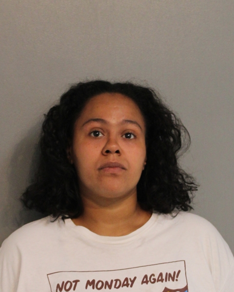 Booking photo - REBECCA SANCHEZ - Osceola, Florida